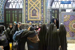 زندگی با عطر نارنگی در جوار حرم رضوی