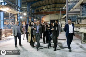 بازدید رئیس مرکز تحقیقات وزارت راه، مسکن و شهرسازی کشور از کارخانه هبلکس رضوی