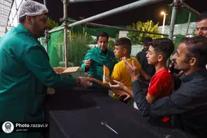 موکب کفشداران افتخاری امام رضا علیه&zwnj;السلام در دهه آخر صفر