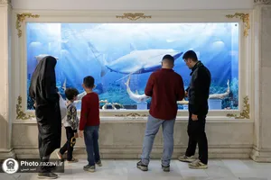 گنجینه آبزیان موزه مرکزی آستان قدس رضوی