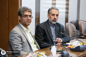 دانشگاه