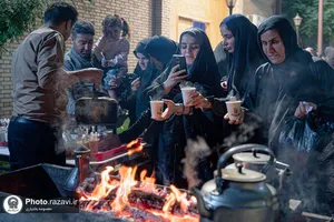 ویژه برنامه فرهنگی - تفریحی با حضور خانواده شهدا و جانبازان لامرد فارس در باغ خاتون
