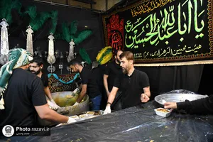 موکب&zwnj;های خدمت&zwnj;رسانی به زائرین پیاده حضرت رضا(علیه&zwnj;السلام) - 2