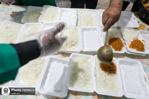 موکب کفشداران افتخاری امام رضا علیه&zwnj;السلام در دهه آخر صفر