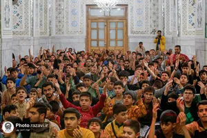 تشرف جمعی از بسیجیان شهرستان جهرم به حرم مطهر رضوی
