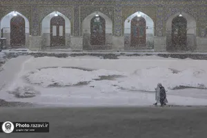بارش برف پاییزی در حرم مطهر رضوی