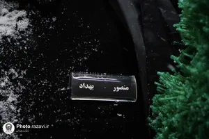 بارش برف در حرم مطهر رضوی-2