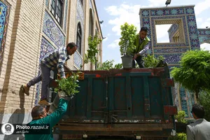 ورود کاروان گل&zwnj;های اهدایی به حرم مطهر رضوی