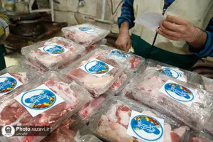 توزیع گوشت قربانی بین دانش آموزان حاشیه شهر مشهد