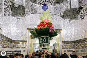 گل آرایی ضریح مطهر امام رضا (ع) به&zwnj;مناسبت اعیاد شعبانیه