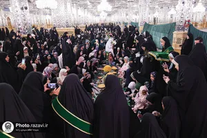 نبات