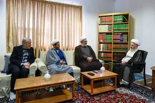 دیدار دست‌اندرکاران کنگره آیت الله میلانی با مراجع تقلید در قم