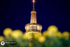 حال و هوای حرم مطهر رضوی در شب میلاد امام حسن عسکری علیه&zwnj;السلام