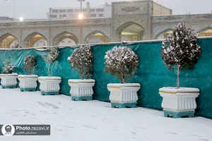 بارش برف در حرم مطهر رضوی