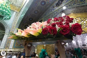 گل&zwnj;آرایی ضریح مطهر رضوی در آستانه ولادت امام رضا علیه&zwnj;السلام