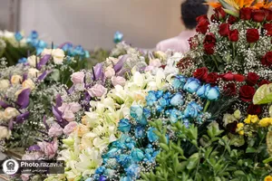 آماده&zwnj;سازی گل&zwnj;های حرم مطهر رضوی در دهه کرامت