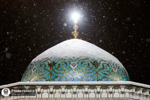 بارش برف شبانگاهی در حرم مطهر رضوی