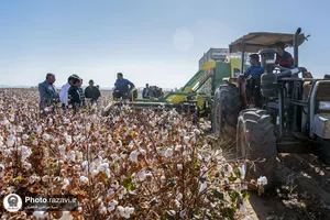 نشست مدیران و فعالان صنعت پنبه کشور