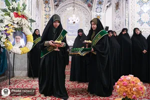 نبات