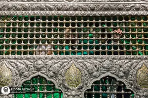 غبارروبی پنجره رواق حضرت معصومه سلام الله علیها