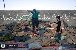 زائران پیاده امام رضا علیه&zwnj;السلام-2