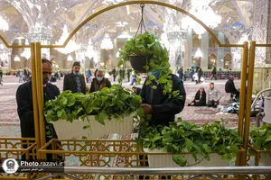گل آرایی رواق امام خمینی(ره) حرم مطهر رضوی