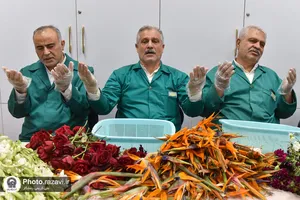 افتتاح مرکز جدید شمیم رضوان