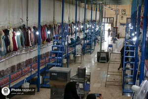 بازدید کارکنان آستان قدس رضوی از شرکت فرش و آرایه&zwnj;های رضوی