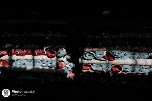بهره&zwnj;برداری از تجهیزات جدید قالیشویی شرکت فرش آستان قدس رضوی