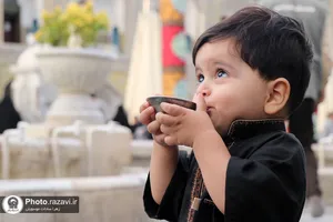 ارادت عزاداران حسینی در حرم رضوی