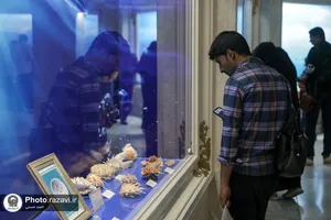 گنجینه آبزیان موزه مرکزی آستان قدس رضوی