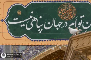 بارش باران بهاری در حرم مطهر رضوی