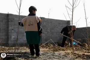 کاشت نهال مثمر در روستای بهار
