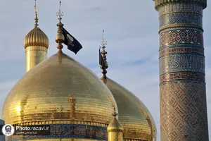 حال و هوای حرم امامین کاظمین در شهادت موسی بن جعفر علیه السلام