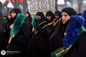 عزاداری هیئت عالم آل محمد(علیه&zwnj;السلام) در عزای موسی بن جعفر