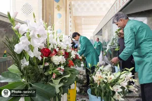 آماده سازی حرم مطهر رضوی در آستانه ولادت امیرالمومنین علیه&zwnj;السلام