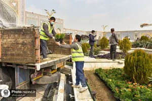 گل آرایی عیدانه حرم مطهر رضوی