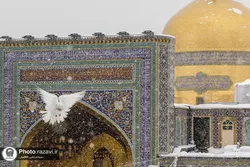 از مفروش کردن کف‌پوش‌های سراسری تا عملیات مکانیزه برف‌روبی