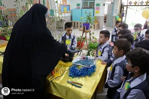 جشن شکوفه&zwnj;ها