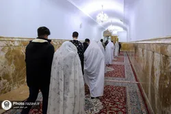 ۱۰۵۰ زوج زندگی مشترک را در جوار امام رضا (ع) آغاز کردند