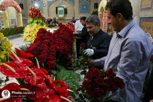گل&zwnj;آرایی ضریح مطهر رضوی در آستانه ولادت امام رضا(علیه&zwnj;السلام)