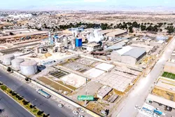 تداوم جریان فروش قند تربت‌حیدریه در مرداد ۱۴۰۵