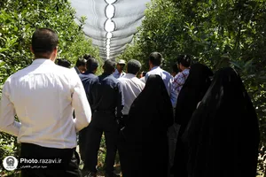 بازدید دهیاران شهرستان کلات از مزرعه نمونه
