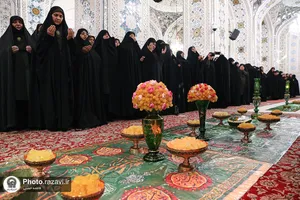 نبات
