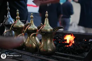 موکب &laquo;دارالکرامه&raquo; امام رضا علیه&zwnj;السلام در ره باغ رضوان