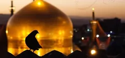 تجلی همدلی رضوی در خط مقدم امنیت شهرهای مرکزی