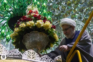 گل&zwnj;آرایی ضریح منور رضوی با گل&zwnj;های نرگس اهدایی از بهبهان