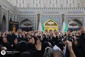 عزاداری هیئت عالم آل محمد علیه&zwnj;السلام در حرم مطهر رضوی