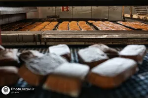 بازدید جمعی از خادمین و خادمیاران حرم مطهر از شرکت نان قدس رضوی