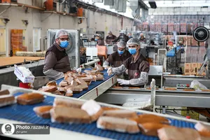 بازدید جمعی از خادمین و خادمیاران حرم مطهر از شرکت نان قدس رضوی